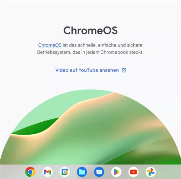 Ein Snippet von der offiziellen Seite der Chromebooks